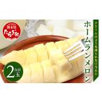 ふるさと納税 メロン メロン青肉 熊本県 多良木町 2026年5月上旬発送開始 先行予約 熊本県産 ホームランメロン 2玉 約2.5kg以上 令和8年 ご予約 メロン フル…