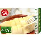 ふるさと納税 メロン メロン青肉 熊本県 多良木町 2026年5月上旬発送開始 先行予約 熊本県産 ホームランメロン 4〜5玉 約5kg ご予約 令和8年 メロン フルーツ…