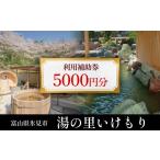 宿泊券 旅館 民宿 湯の里いけもり 利用補助券5 000円分