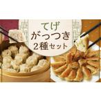 餃子 たかなべギョーザのてげがっつきセット