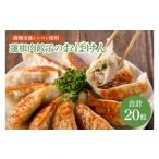 ふるさと納税 餃子 茨城県 鹿嶋市 お試しサイズ 蓮根肉餃子のおばけん 20粒 野菜 ギョーザ れんこん しゃきしゃき おいしい 食べきり 茨城県 鹿嶋市 (KBU-7…