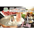 牛肉 しゃぶしゃぶ 丹波牛 京丹波高原豚しゃぶしゃぶ満喫セ…