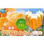 果汁飲料 みかん みかんジュース1000ml×05本