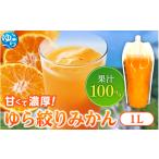 果汁飲料 みかん みかんジュース1000ml×13本