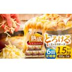 加工品等 チーズ 6回定期便 ミックスチーズセット 300g×5袋