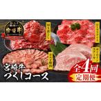 牛肉 セット 定期便全4回 宮崎牛づくしコース