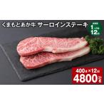 牛肉 サーロイン 上 R8年熊本地震復興支援