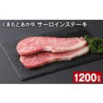 牛肉 サーロイン 上 R8年熊本地震復興支援