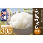 米 6回定期便 フタエさんのお米 元気つくし