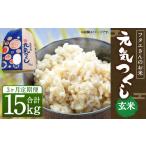 玄米 3回定期便 フタエさんのお米 元気つくし