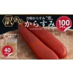 ふるさと納税 魚貝類 宮崎県 門川町  訳あり 宮崎からすみ寒(100g) からすみパウダー40g付 カラスミ 魚卵 珍味 つまみ 唐墨 珍味 酒の肴 ボラ ぼら 簡易包装 …