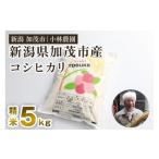 ふるさと納税 米 コシ