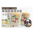 ふるさと納税 米 コシ