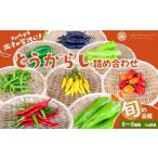 fu.... налог комплект *... Saitama префектура Saitama город 10 цвет перец стручковый ферма перец стручковый .. товар вид ...