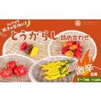 野菜類 十色とうがらしファーム とうがらし