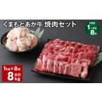 牛肉 セット 上 R8年熊本地震復興支援 1ヶ月毎8回定期便