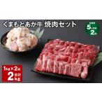 牛肉 セット 上 R8年熊本地震復興支援 5ヶ月毎2回定期便