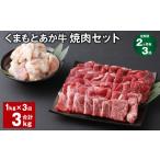 牛肉 セット 上 R8年熊本地震復興支援 2ヶ月毎3回定期便