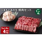 牛肉 セット 上 R8年熊本地震復興支援 1ヶ月毎4回定期便