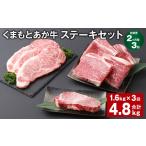 牛肉 ステーキ 上 R8年熊本地震復興支援