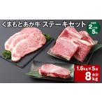 牛肉 ステーキ 上 R8年熊本地震復興支援