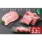 牛肉 ステーキ 上 R8年熊本地震復興支援