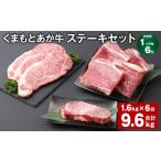 牛肉 ステーキ 上 R8年熊本地震復興支援