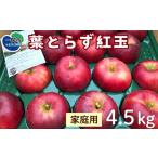 りんご 葉とらず紅玉 4.5kg