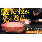 牛肉 ステーキ 5回定期便 博多和牛 ヒレ シャトーブリアン …