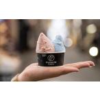 ふるさと納税 アイス・ヨーグルト ジェラート 京都府 京都市 Premarch? Gelateria 国際コンテスト入賞店の人気ジェラート6個セット Milky set[ 京都 スイー…