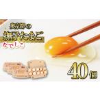 ふるさと納税 卵（鶏、烏骨鶏等） 京都府 福知山市 奥京都の撫子たまご 三和鶏園 MS〜LLサイズ(40個入・30個＆割れ保証10個) fc-DZ001 有限会社三和鶏園 三和…