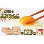 ふるさと納税 卵（鶏、烏骨鶏等） 京都府 福知山市  3ヵ月定期便 奥京都の撫子たまご 三和鶏園 MS〜LLサイズ(40個×3ヶ月・各割れ保証10個) fc-DZ005 有限会社…