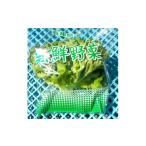 野菜類 栽培期間中農薬不使用 四国のど真ん中で栽培された…