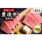 ふるさと納税 牛肉 焼肉・バーベキュー 大分県 姫島村 豊後牛焼肉用 500g　D2