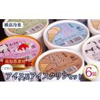 高知 名物 アイスクリン 6個