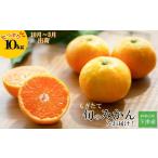 ふるさと納税 果物類 みかん 和歌山県 海南市 みかん 約10kg 大小混合サイズ 《ご家庭用》 和歌山県産 農園直送 まごころ産直みかん 10月中旬から3月上旬頃ま…