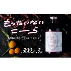 加工品等 クラフトコーラ シロップ 300ml