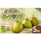 ふるさと納税 梨 山形県 大江町 《先行受付》大江町産 山形ラ・フランス 5kg 13〜20玉 L〜5L 2025年11月中旬頃〜発送予定 048-005