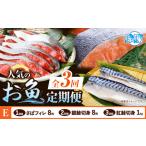 魚貝類 定期便 全3回 E サバフィレ 8枚