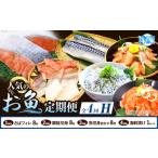 魚貝類 定期便 全4回 H サバフィレ 8枚