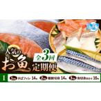 魚貝類 定期便 全3回 I サバフィレ 14枚