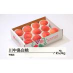 ふるさと納税 もも 山形県 山辺町 もも 桃 川中島白桃 特選品 約3kg(6~12個程度) 2025年産 山形県産 沖縄・離島への配送不可 tf-moknt3