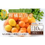 果物の詰合せ 受付中 分 旬の柑橘詰合せセット 約10kg