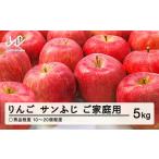 ふるさと納税 りんご 山形県 山辺町  先行予約 りんご サンふじ ご家庭用 ◯秀品程度 約5kg(10~20個程度) ?2026年産 山形県産 甘い シャキシャキ 食感 リンゴ …