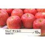 ふるさと納税 りんご 山形県 山辺町 先行予約 りんご サンふじ 秀品程度 約10kg(24~50玉) 2025年産 山形県産 沖縄・離島への配送不可 tf-risfs10