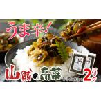 加工品等 漬物 辛子高菜 240g×2パック