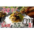 ふるさと納税 加工品等 漬物 福岡県 田川市 辛子高菜 240g×3パック（720g） 山賊の高菜 からし高菜 メール便 ポッキリ お米に合う ご飯のお供 おつまみ 国産 …