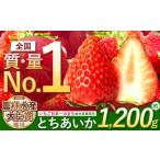 ショッピングふるさと納税 いちご ふるさと納税 いちご 栃木県 真岡市 とちあいか いちご 1200g ( 4パック ) 期間限定 数量限定｜ いちご日本一 ミス苺 応援 農林水産省 最多獲得 苺 ストロベリ…