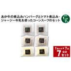 牛肉 ハンバーグ 上 R8年熊本地震復興支援