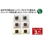 牛肉 ハンバーグ 上 R8年熊本地震復興支援